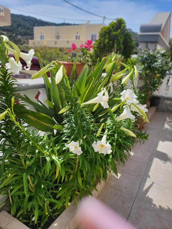 Appartamento Roumeliotis House Karpathos Esterno foto